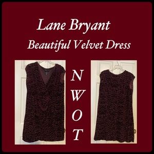 Lane Bryant dress